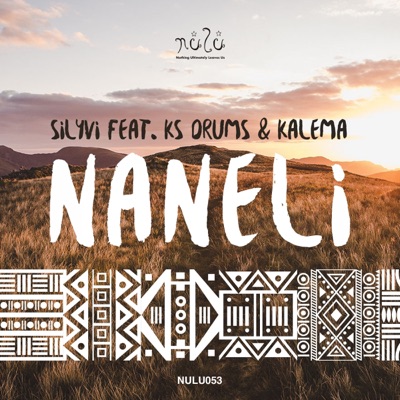 Naneli (feat. Ks Drums & Kalema) - Single