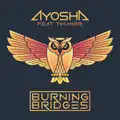 Burning Bridges (feat. Tihamer) [Radio Edit]