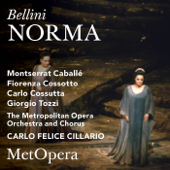 Norma, Act I: Casta diva (Live) song art