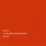 Nils Frahm & F.S.Blumm - Day One Two