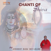 ShivYog Chants: Chants of Shiva - Avdhoot Baba Shivanand