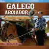 Vaqueiro Cavalo e Boi
