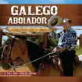 Vaqueiro Cavalo e Boi