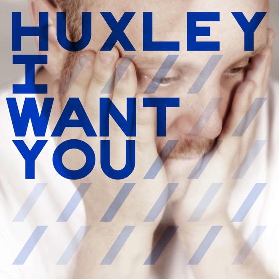 Cover artwork for I Want You (Shenoda Remix)