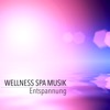 Wellness Spa Musik Entspannung - Stressbewältigung und Achtsamkeitsmeditation mit Meditationsmusik