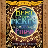 The Best of Pickin' On Phish: Dance Around the Room artwork