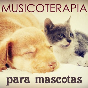 Musicoterapia Mascotas - Música para Dormir para Perros, Gatos y Todos Animales (Aliviar el Estrés)