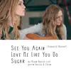 See You Again, Love Me Like You Do, Sugar (Acoustic Mashup)