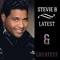 Stevie B Megamix: Party Your Body / Spring Love / In My Eyes / I Wanna Be the One / Girl I'm Searching For You / Dreamin' of Love artwork