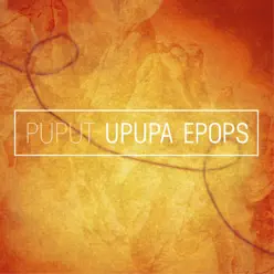 Upupa Epops - Puput