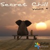 Secret Chill, Vol. 4