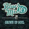 Blues Mix, Vol. 16: Grown up Soul