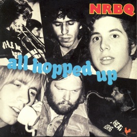 NRBQ Never Take The Place Of You NRBQ Never Take The Place Of You