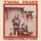In the Morning (In the Evening) - Twin Peaks lyrics