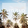 Turn It Up - Single