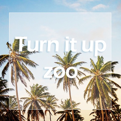 Turn It Up - Single