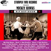 Bip Bop Boom — Mickey Hawks & Moon Mullins & The Night Raiders