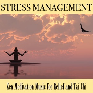 Stress Management - Zen Meditation Music for Relief and Tai Chi