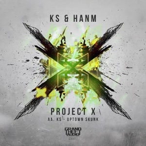 Project X // Uptown Skunk - Single
