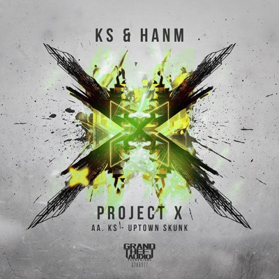 Project X // Uptown Skunk - Single