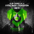 Hey! (Flip Capella vs. Steve Wish & Samsation)