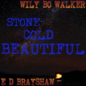 Wily Bo Walker & E D Brayshaw - I Want to Know