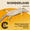 Denis Naidanow feat. Tyree Cooper - "Wonderland"