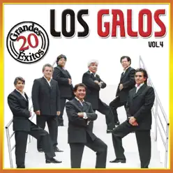 20 Grandes Êxitos - Vol. 4 - Los Galos