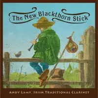 Reels: Connaught Heifers / Mountain Lark / Green Branch / Green Linnet (feat. Patrick Mangan, Kevin Crawford, Jerry O'Sullivan, Greg Anderson & Steve Holloway)