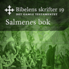 Salmenes bok: Bibel2011 - Bibelens skrifter 19 - Det Gamle Testamentet - KABB
