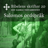 Salomos ordspråk: Bibel2011 - Bibelens skrifter 20 - Det Gamle Testamentet - KABB