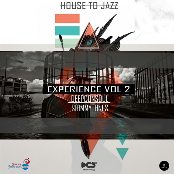 House to Jazz Experience, Vol. 2