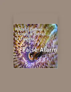 收听 Stones、观看音乐视频、阅读小传、查看巡演日期等 ！