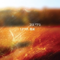 אם היינו - Single - Gidi Gov