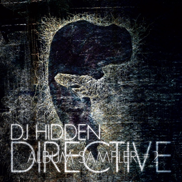 Directive Album Sampler 2 - Single
