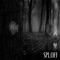 Pick (feat. Peter James Fox) - SPLOFF lyrics