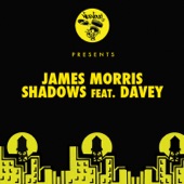 Shadows (feat. Davey) [Mark Lower Remix] artwork