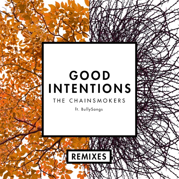 Good Intentions (feat. BullySongs) [Remixes] - Single - The Chainsmokers