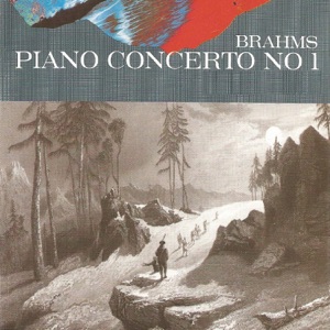 Piano Concerto No. 1 in D Minor, Op. 15: I. Maestoso