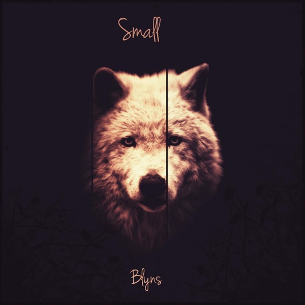 Small - Single