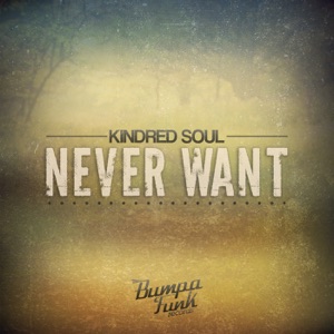 Never Want - Single