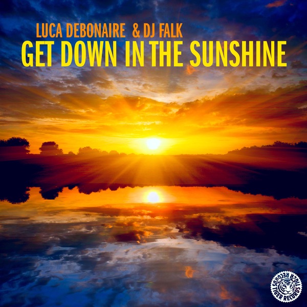Get Down in the Sunshine - Single