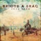 Classical Peace - Brique a Braq lyrics