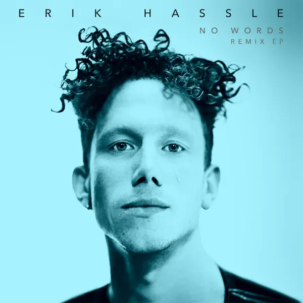 No Words — Erik Hassle