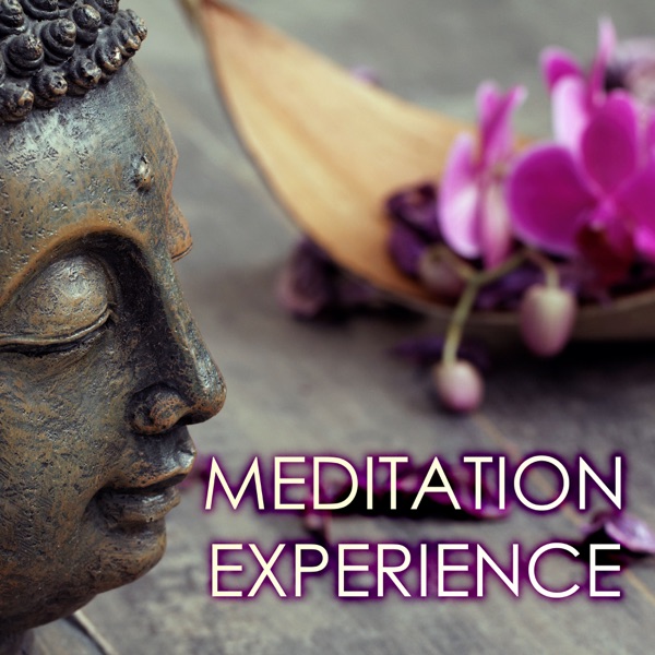 Meditation Experience - Pure Soothing Deep Sleep Music for Hypnosis and Out of Body Feeling, Listening to Your Soul