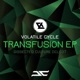Transfusion Single