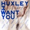 I Want You (Shenoda Remix) - Huxley lyrics