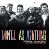 Essential As Anything (30th Anniversary Edition) artwork