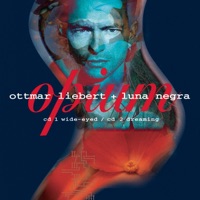 Luna Negra & Ottmar Liebert - Bed of Nails (Wide-Eyed Trance)