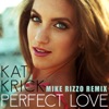 Christian Rizzo Perfect Love (Mike Rizzo Remix) Perfect Love (Mike Rizzo Remix) - Single